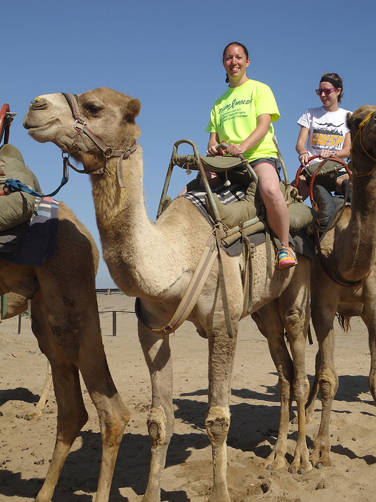 Camel-ride