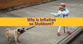 Why is Inflation so Stubborn?