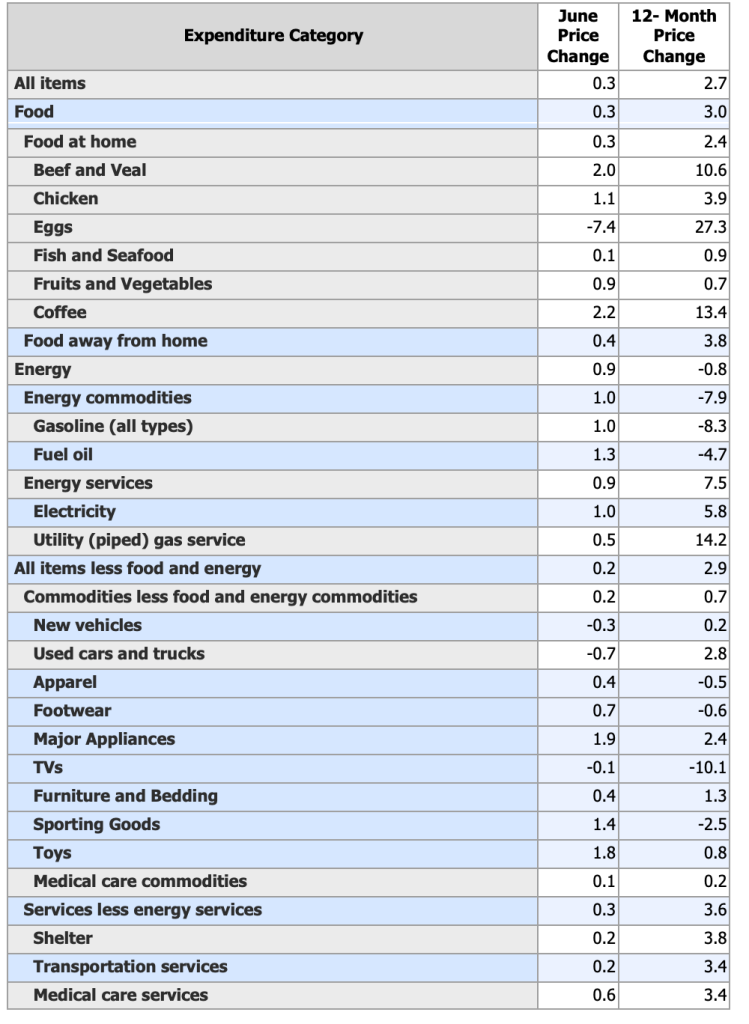 CPI by Expenditure Category, June 2025 One-Month (seasonally adj.) and 12-Month Changes 