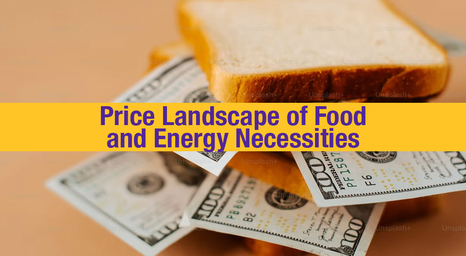 Price landscape of food and energy necessities
