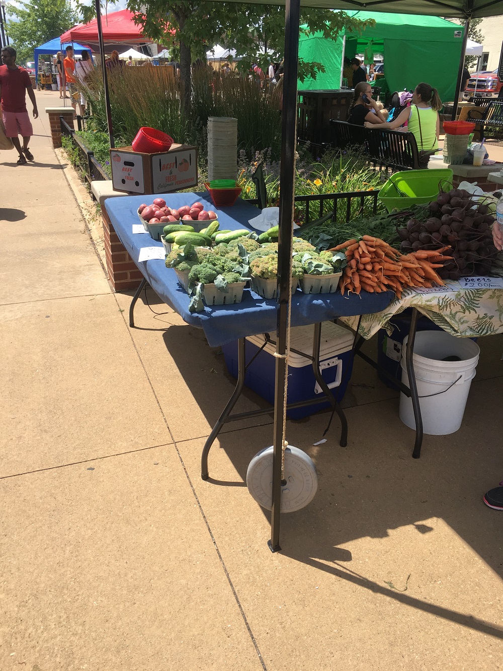 UW-Stevens Point student blog farmers market