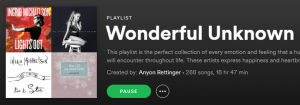 Wonderful Unknown Spotify Playlist
