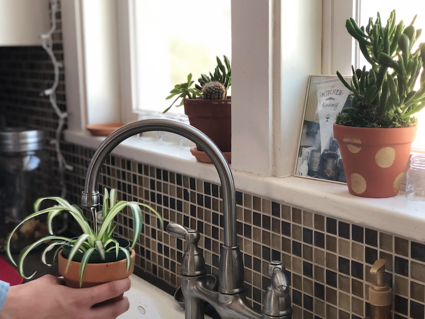 Bring Spring Indoors
